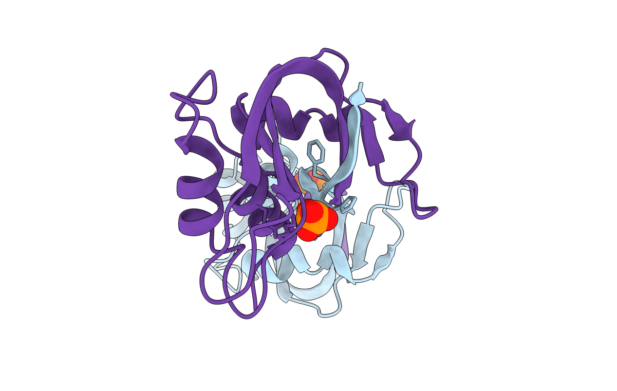 4N4C image