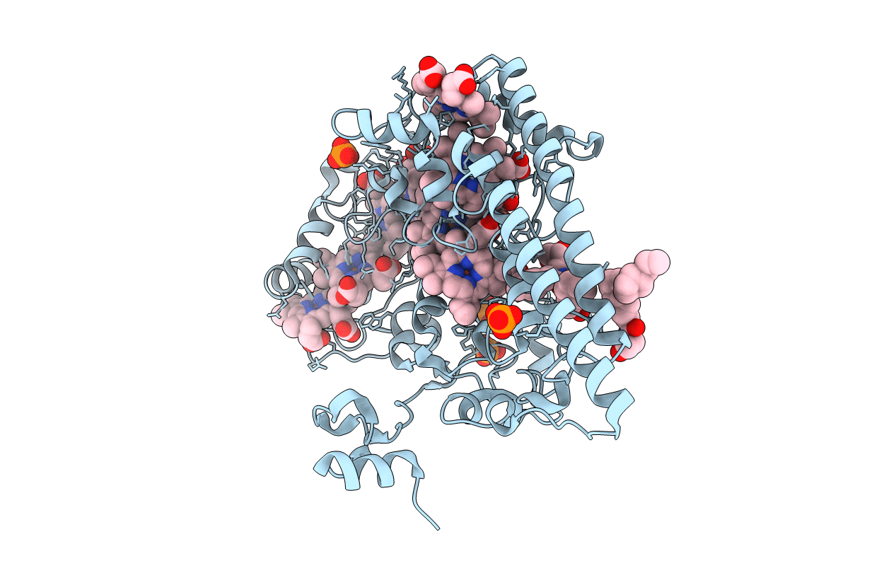 4N4J image