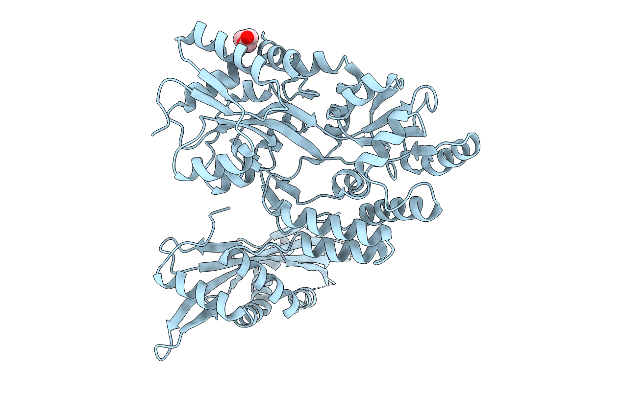 4N4X image
