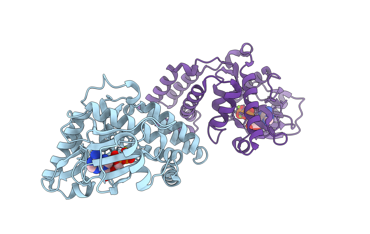 4N57 image