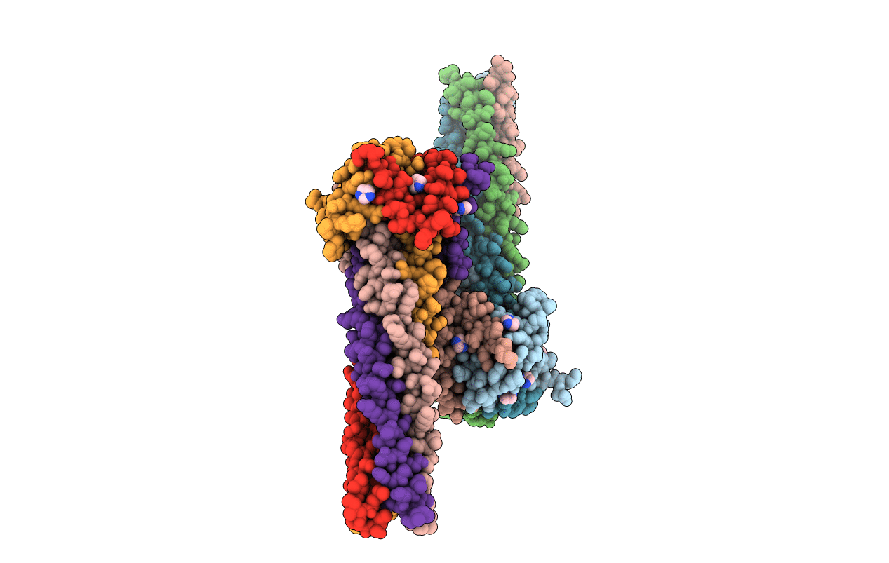 4N5B image