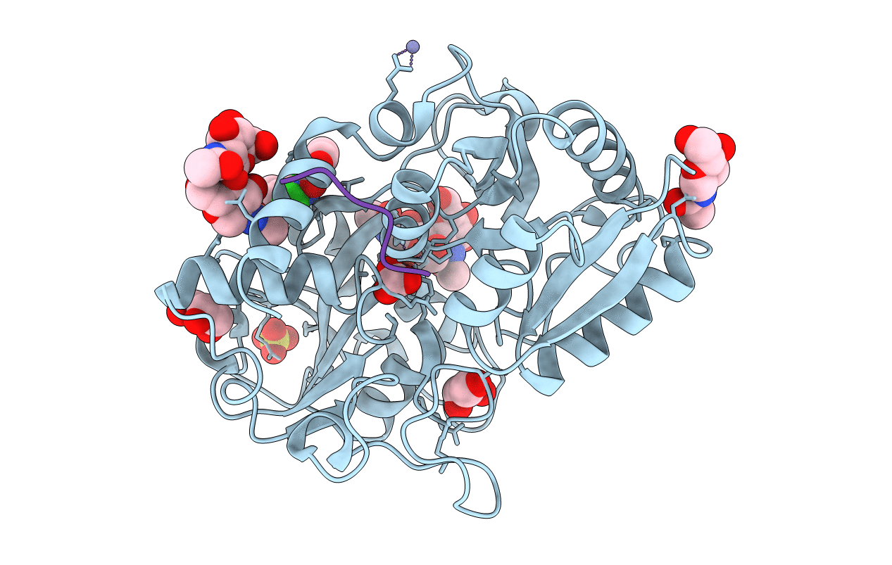 4N6P image