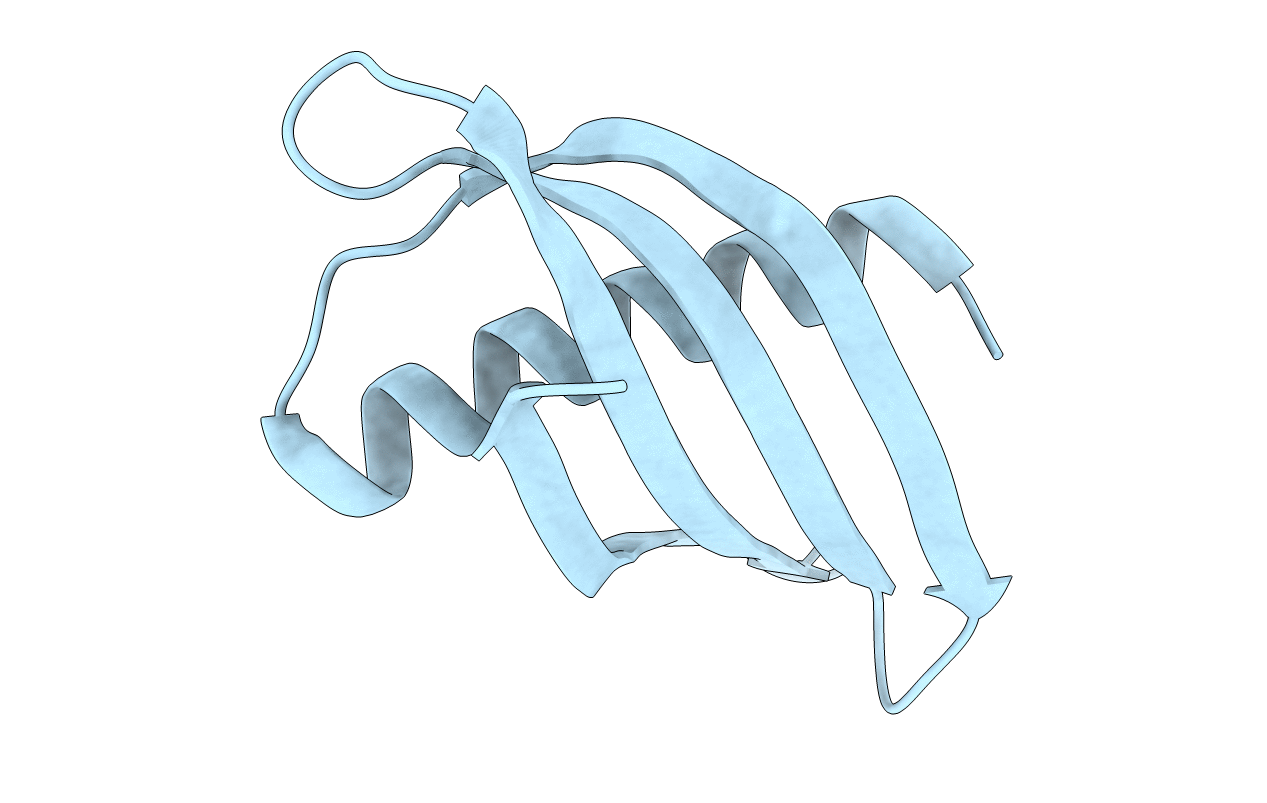 4N6U image