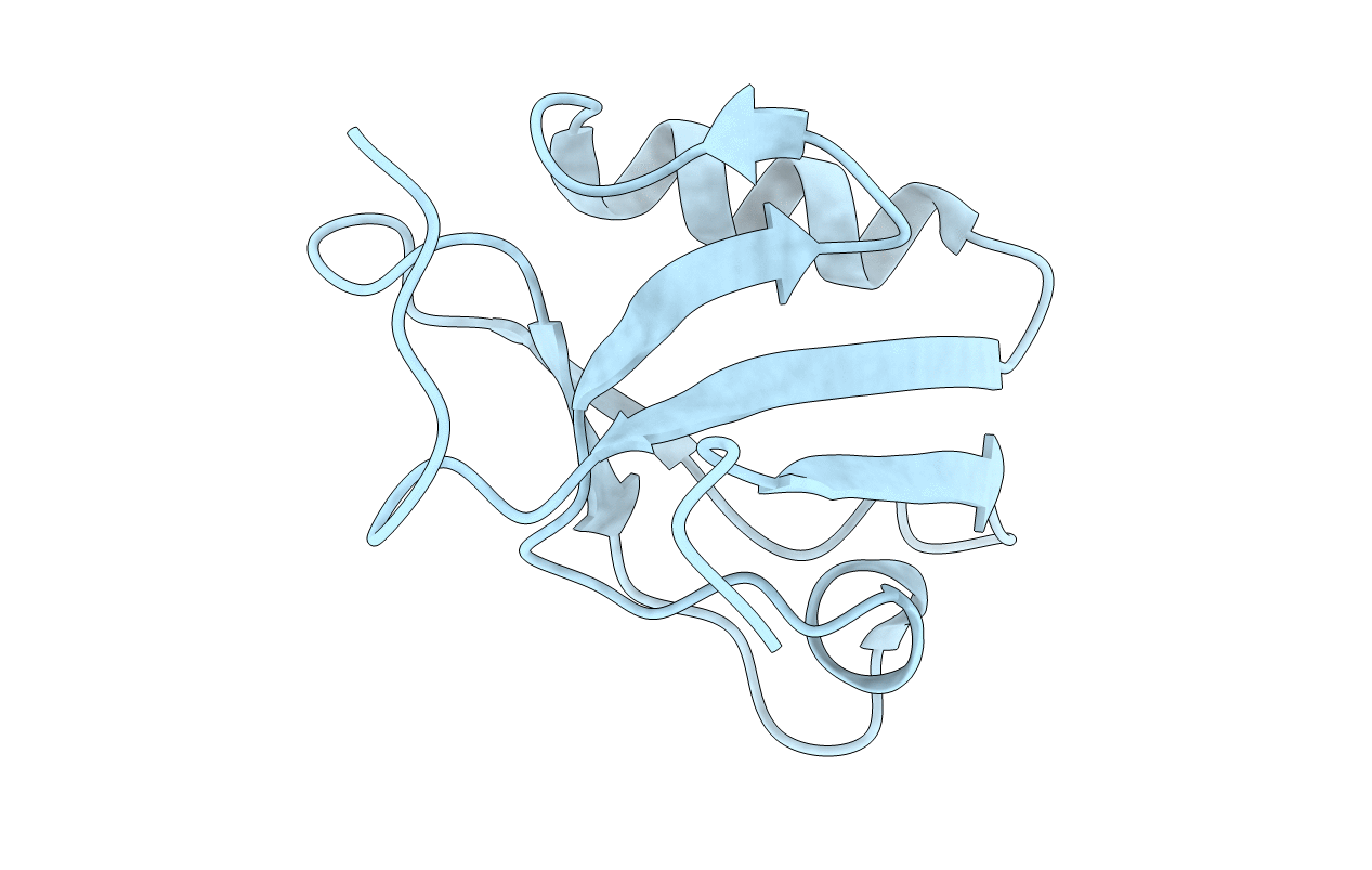 4N6X image