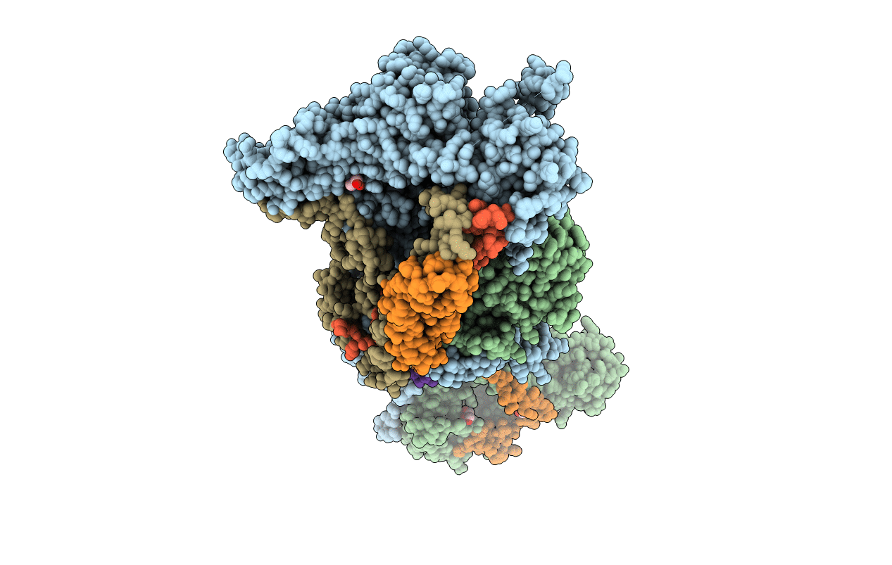 4N78 image