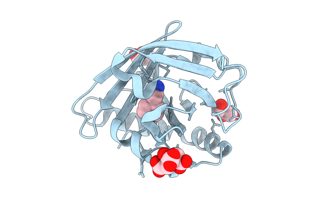 4N7C image
