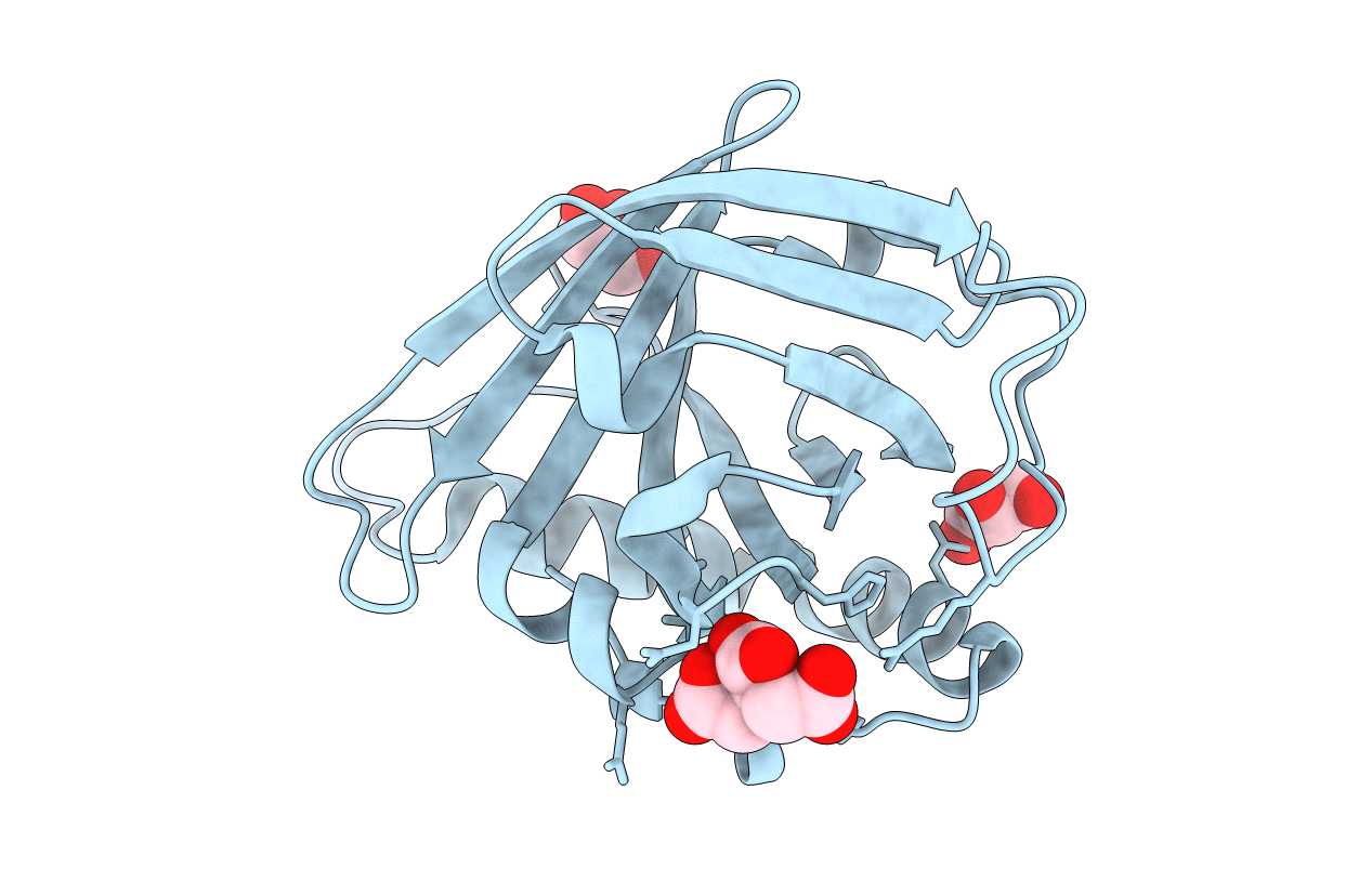 4N7D image