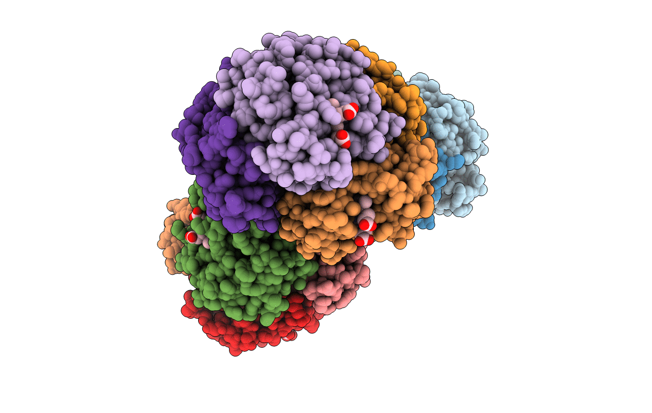 4N7P image