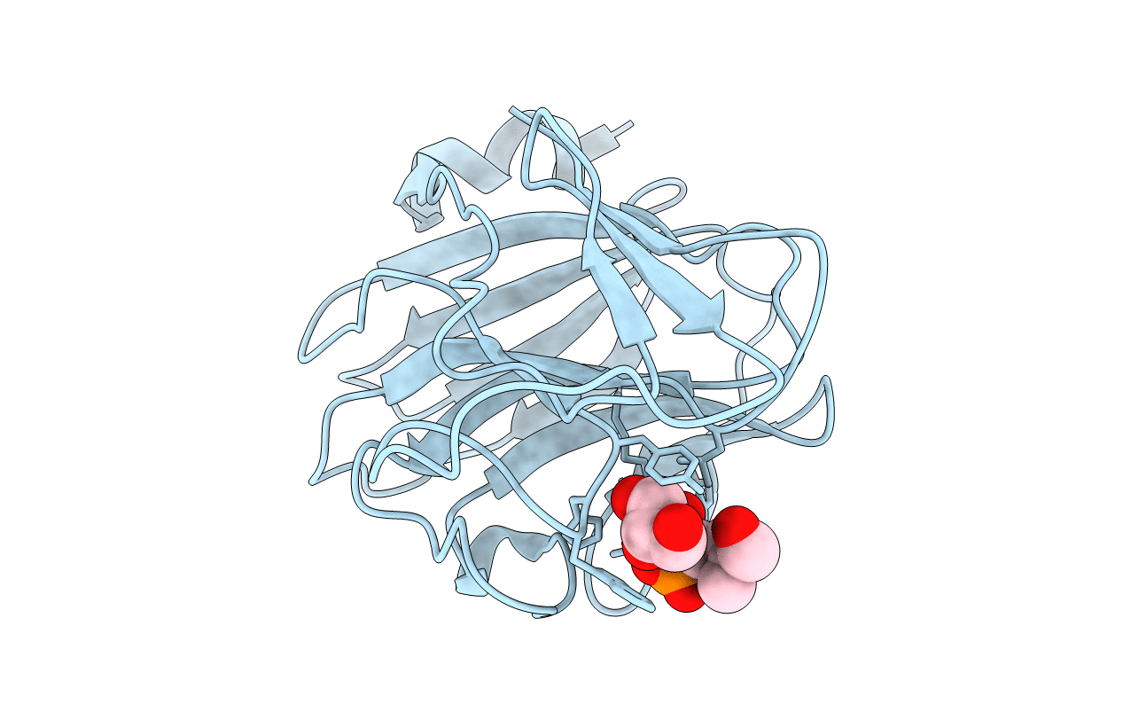 4N7U image