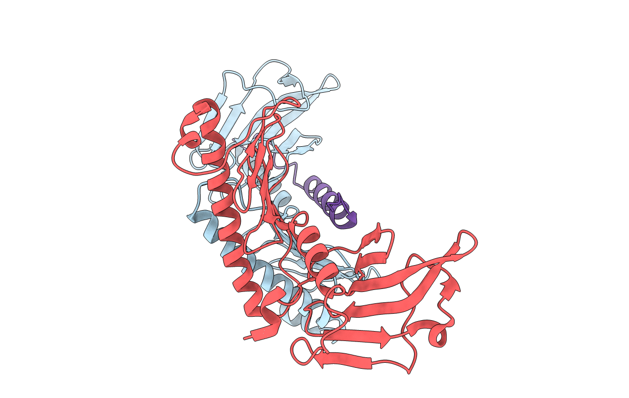 4N7V image