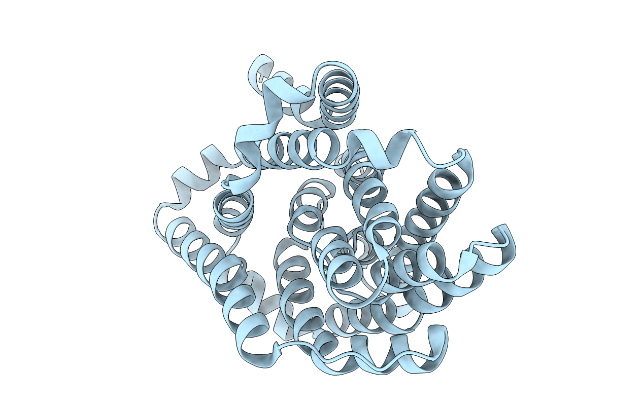 4N7X image