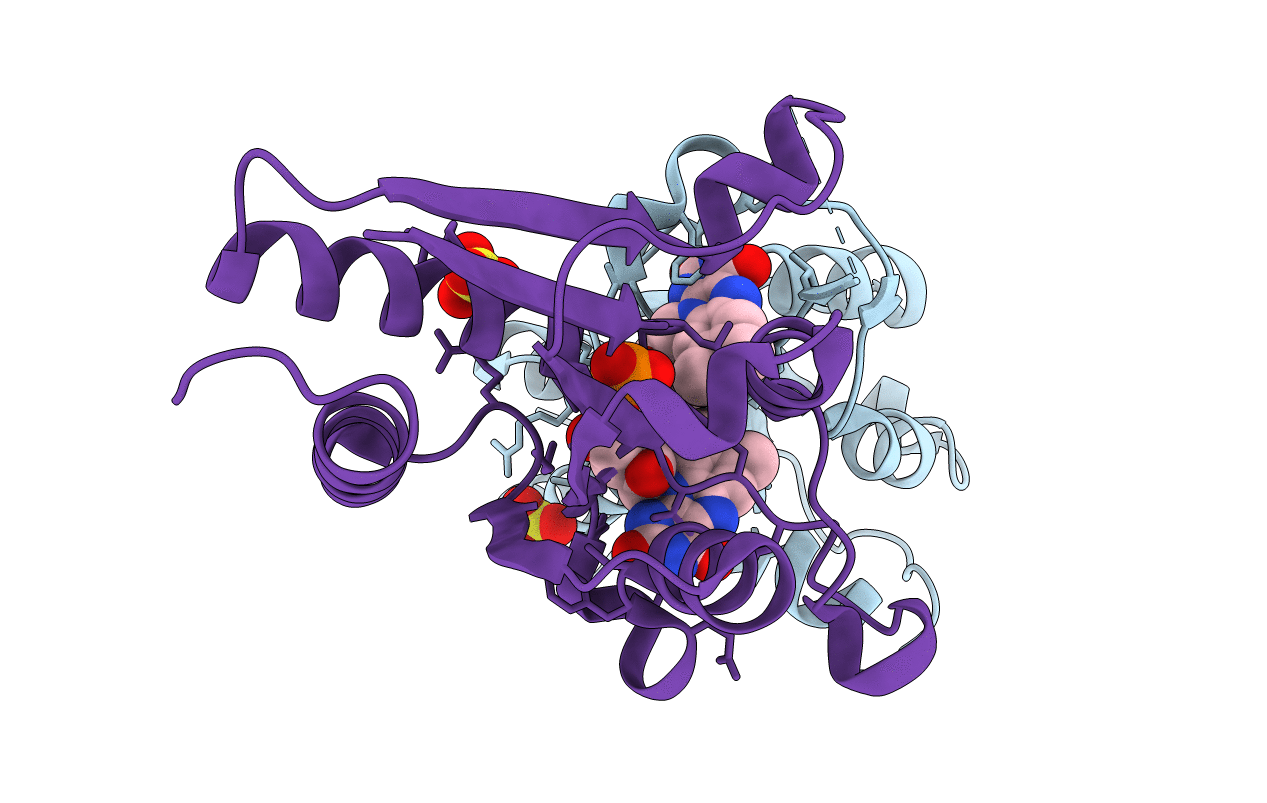 4N82 image