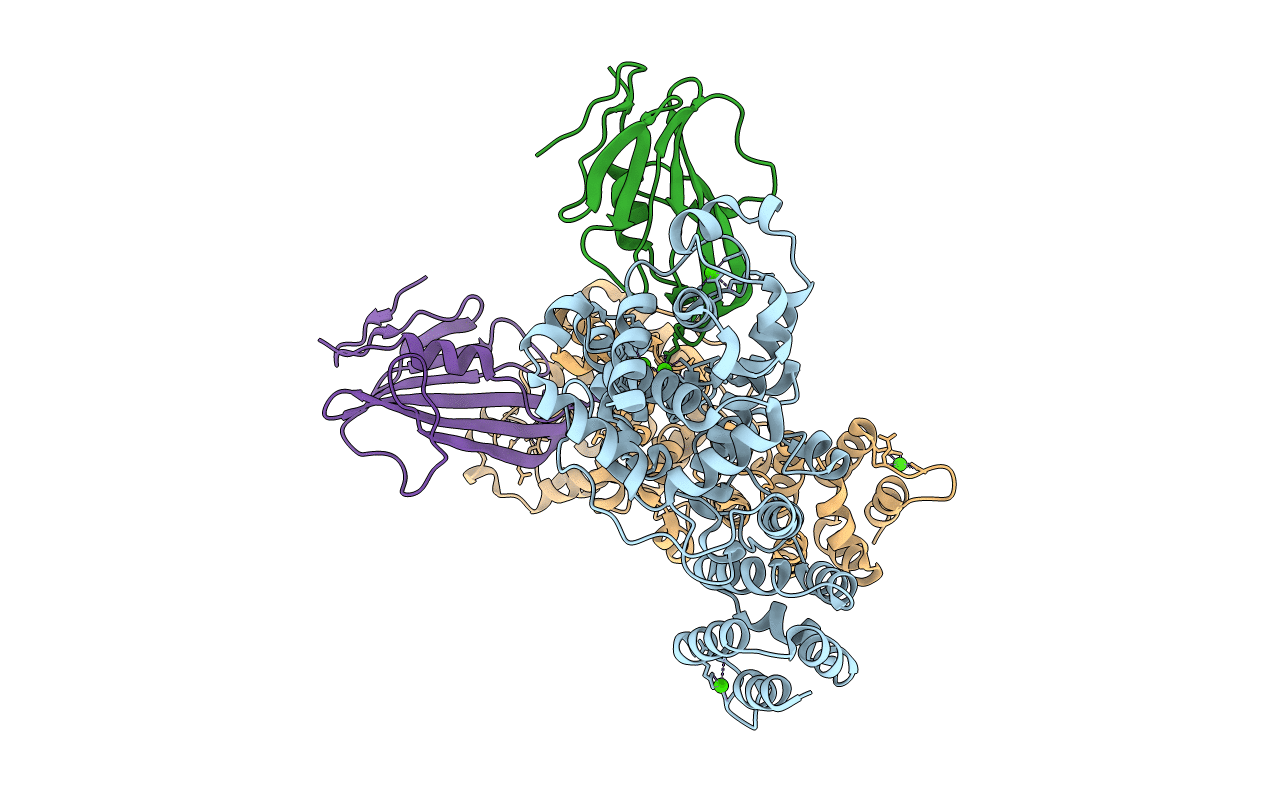 4N88 image