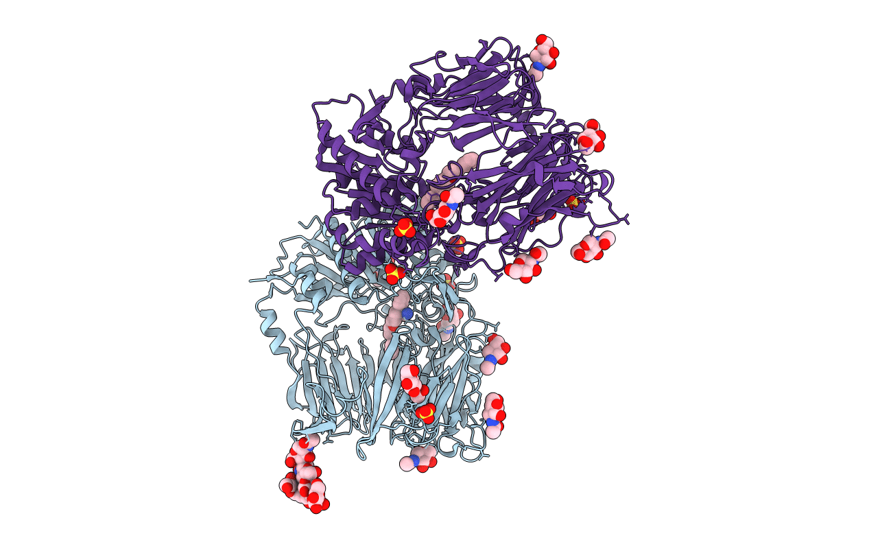 4N8D image