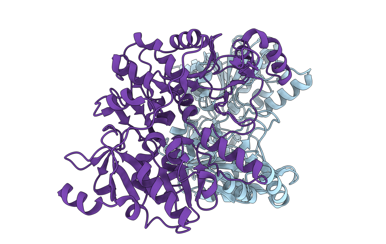 4N8H image