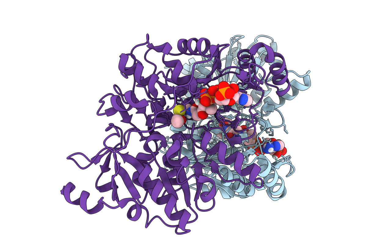 4N8I image