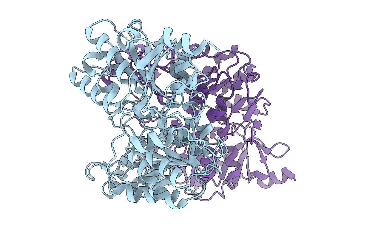 4N8K image