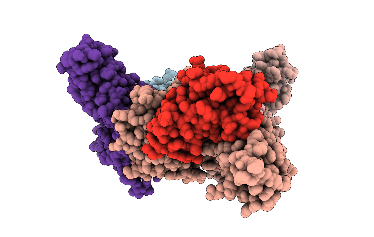 4N8V image