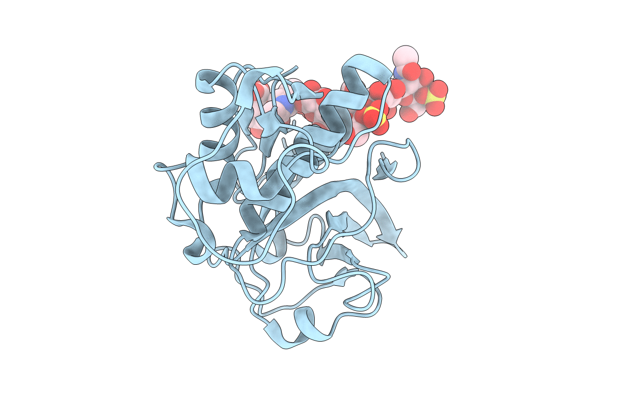 4N8W image