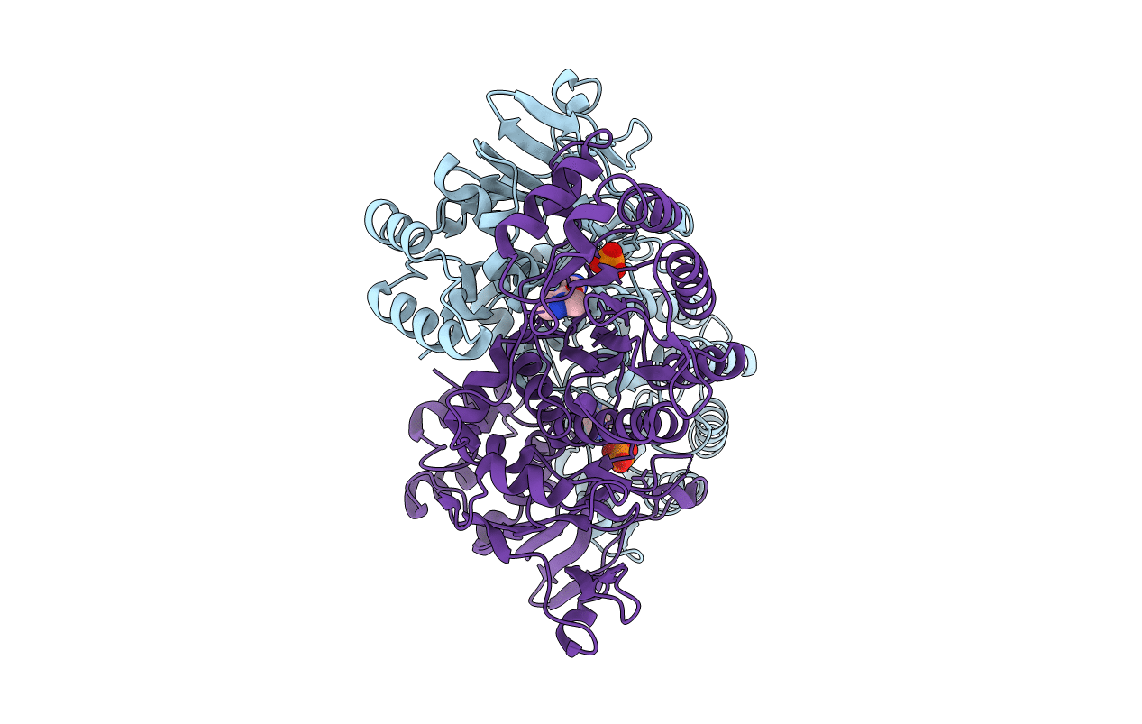 4N9B image