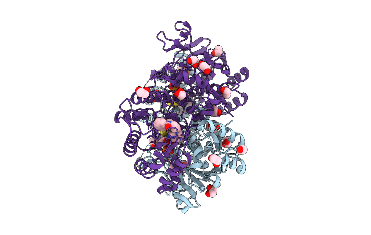 4N9E image