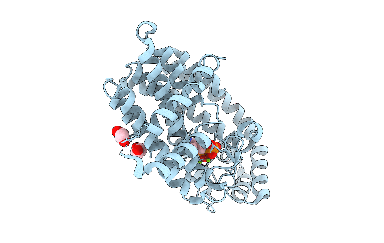 4N9U image