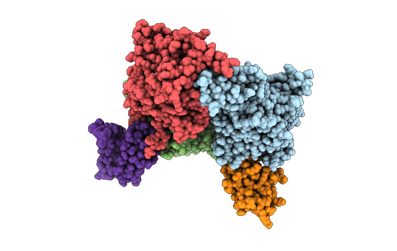 4NBE image