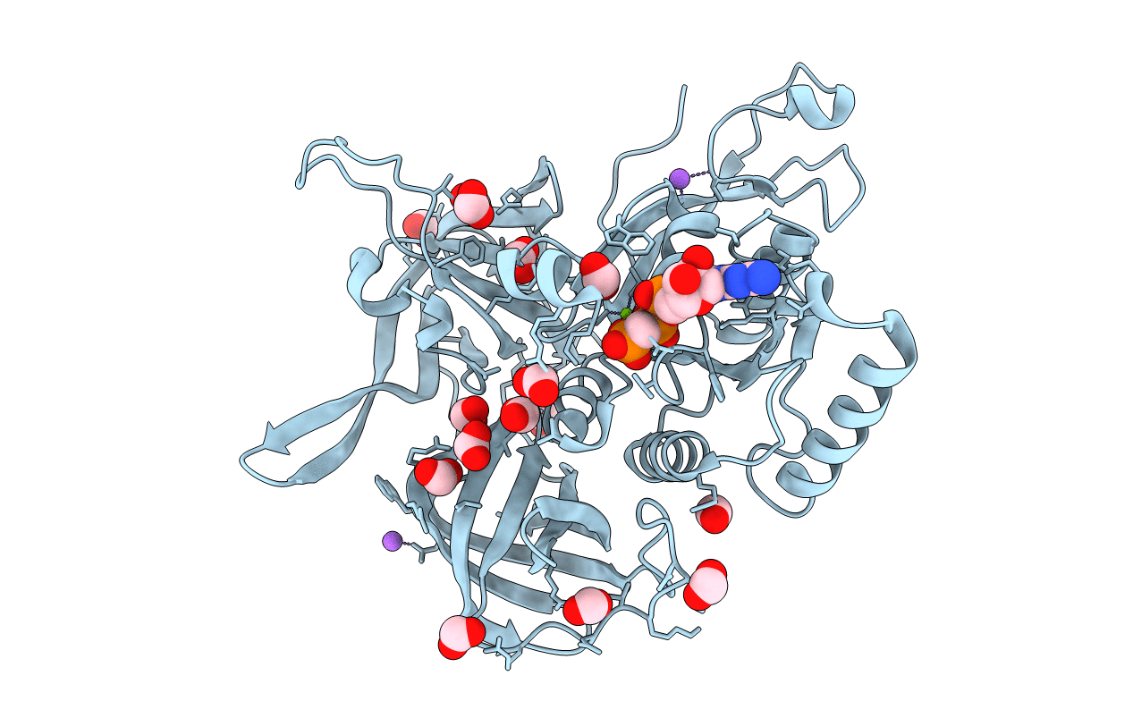 4NBS image