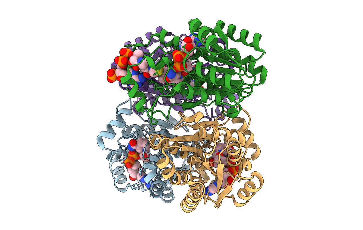 4NBU image