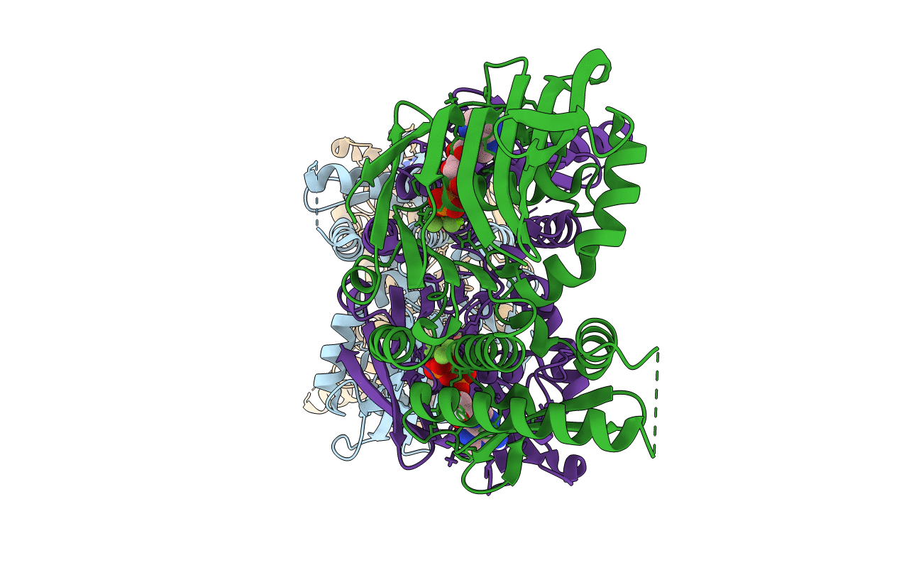 4NCJ image