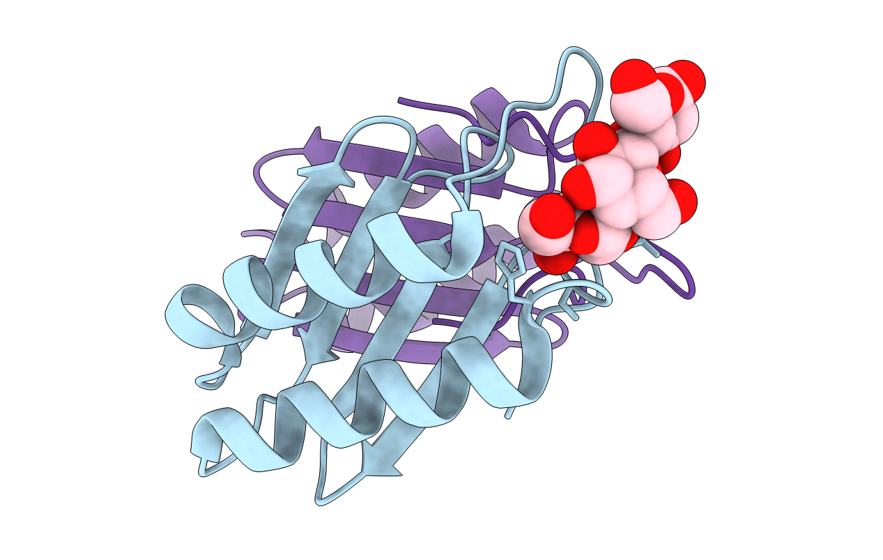 4NDV image