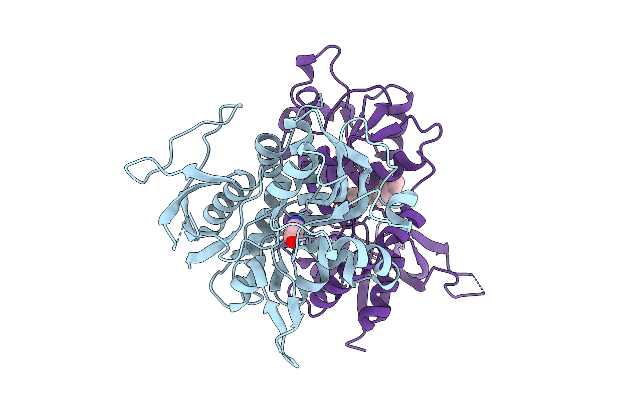 4NF6 image