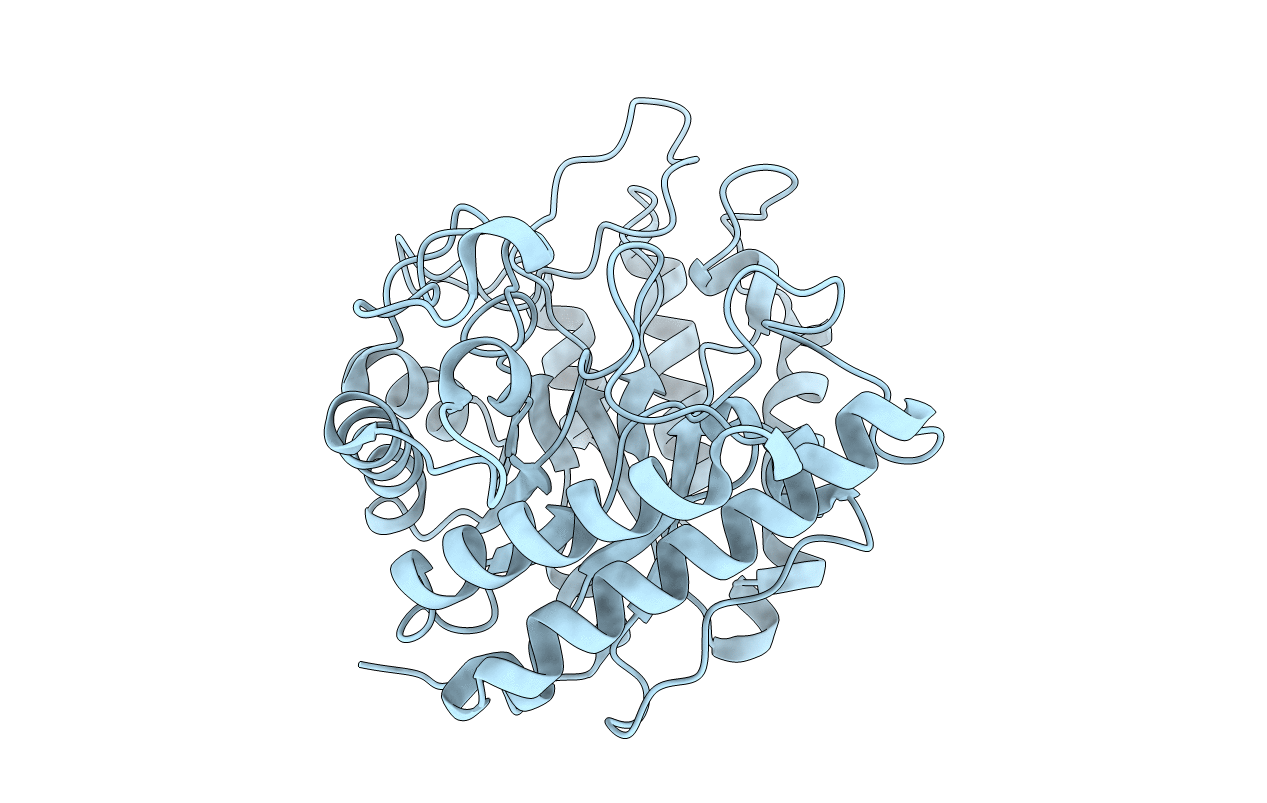4NF7 image