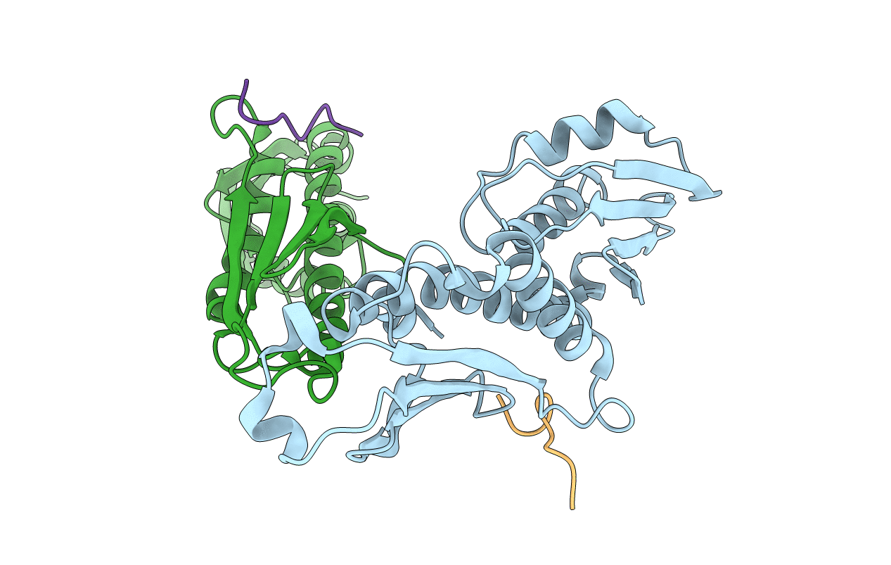 4NF9 image