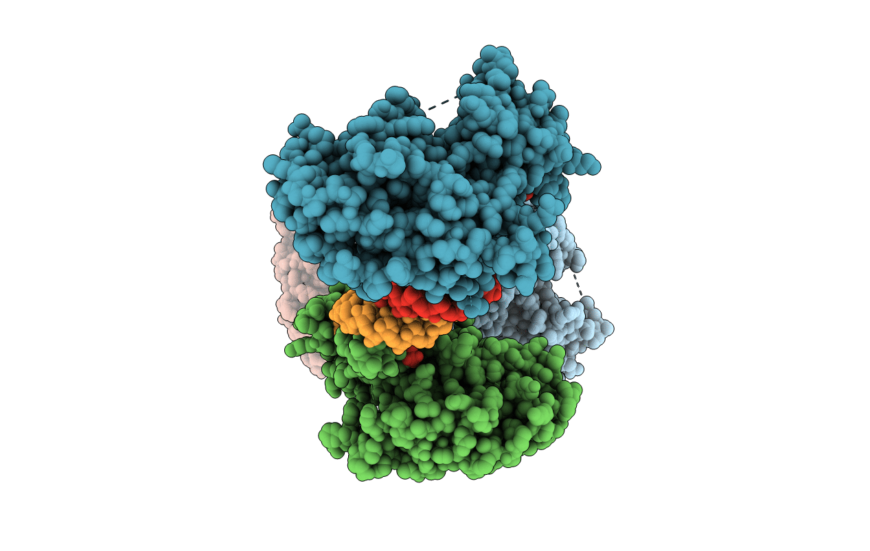 4NGF image
