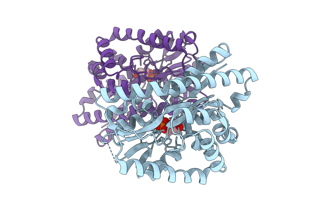 4NHB image