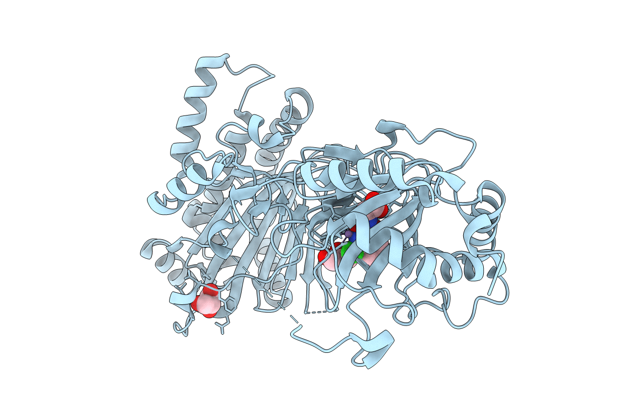 4NHM image