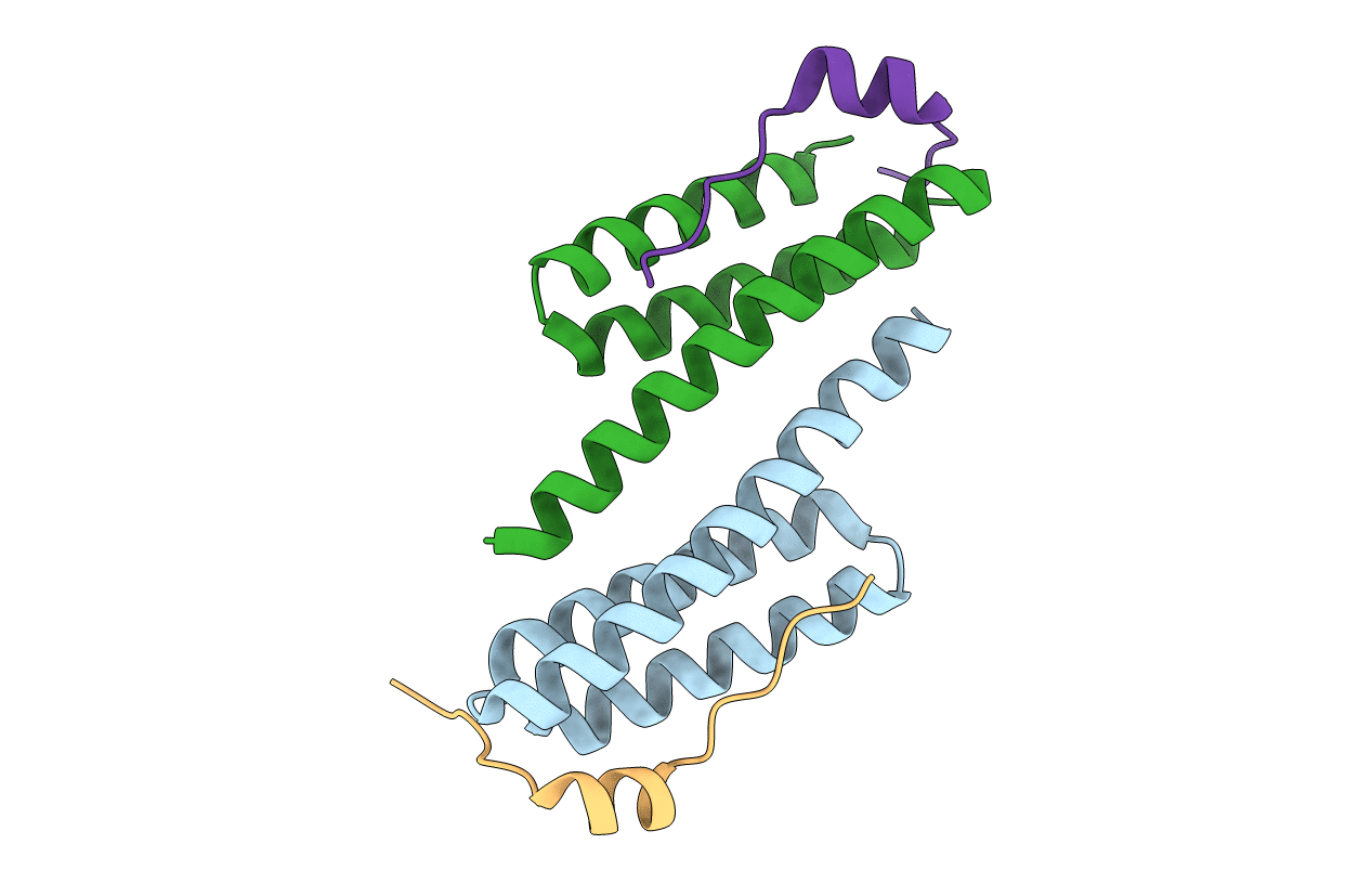 4NIQ image