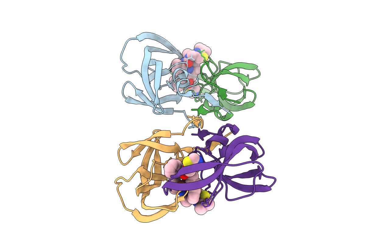 4NJV image