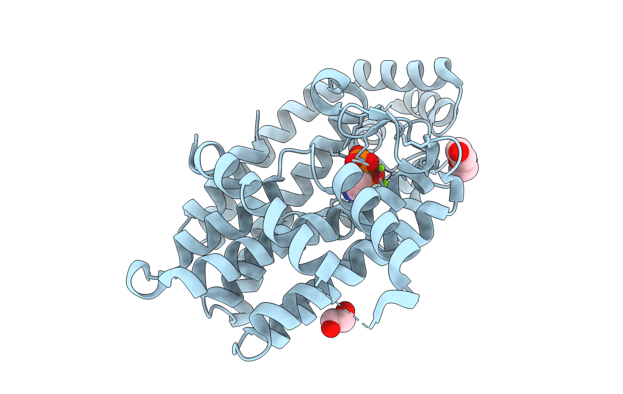 4NKF image