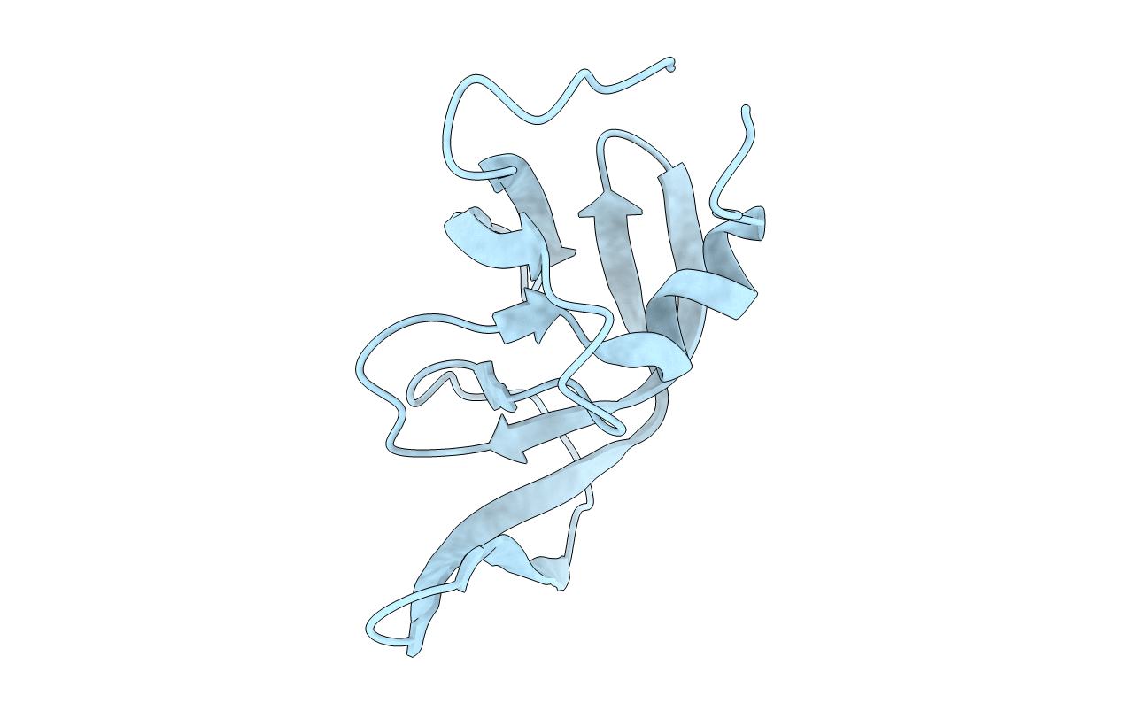 4NKK image