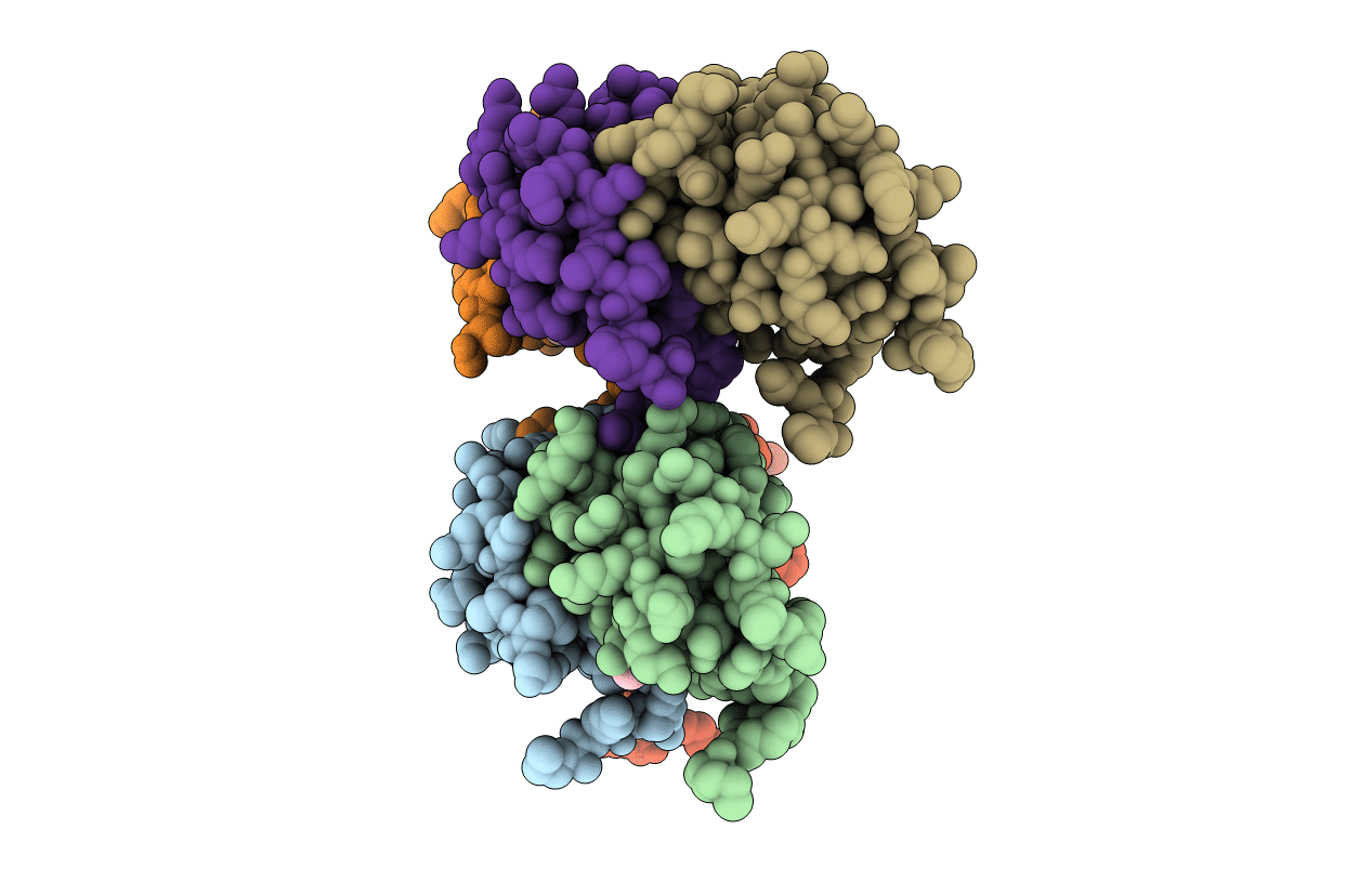 4NL2 image