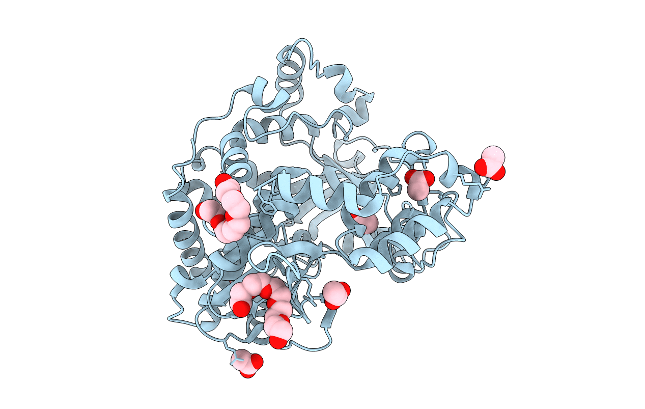 4NLU image