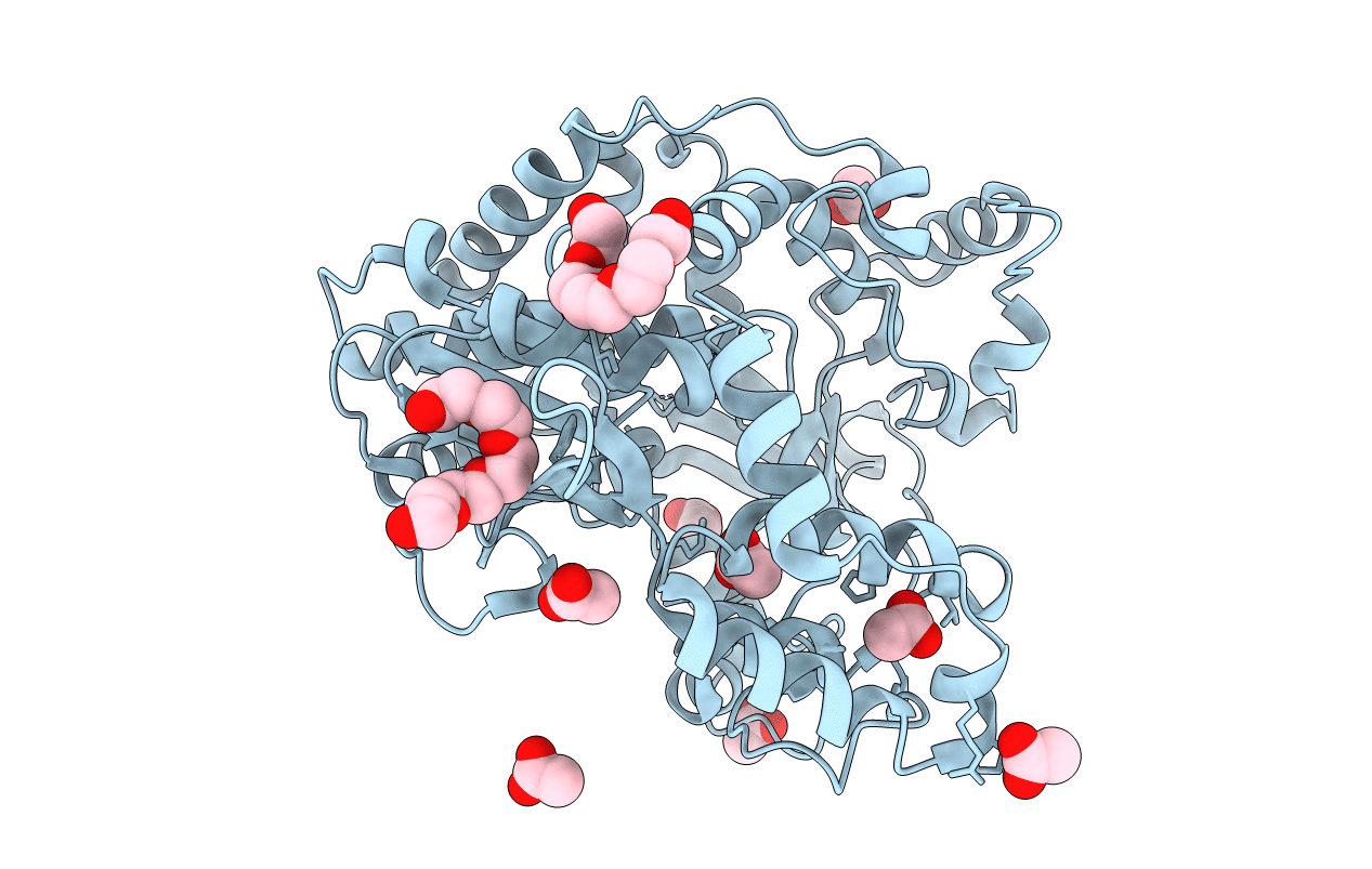 4NLV image
