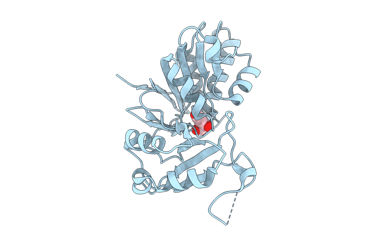 4NML image