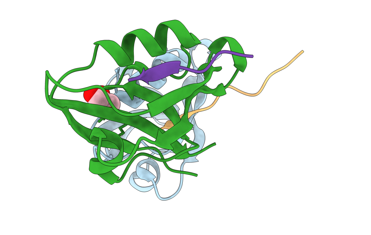 4NMR image