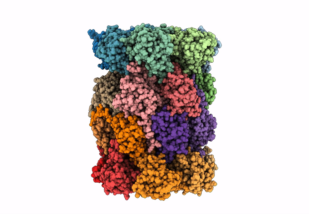 4NNW image