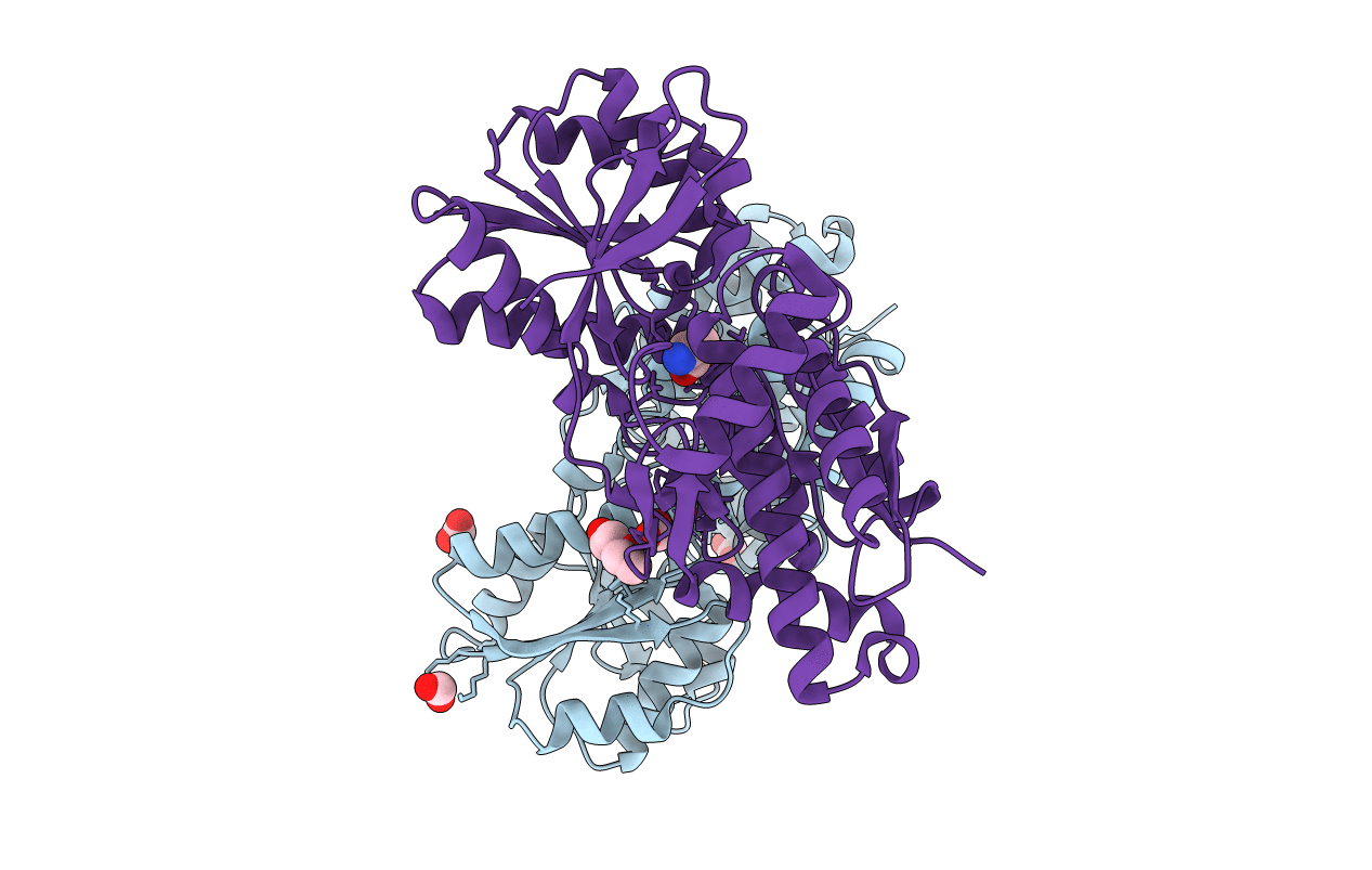 4NQR image