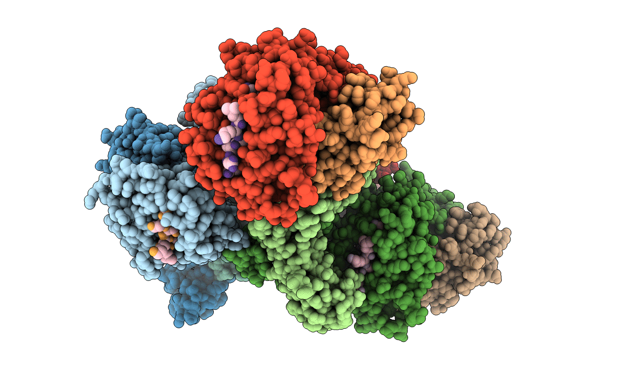 4NQV image