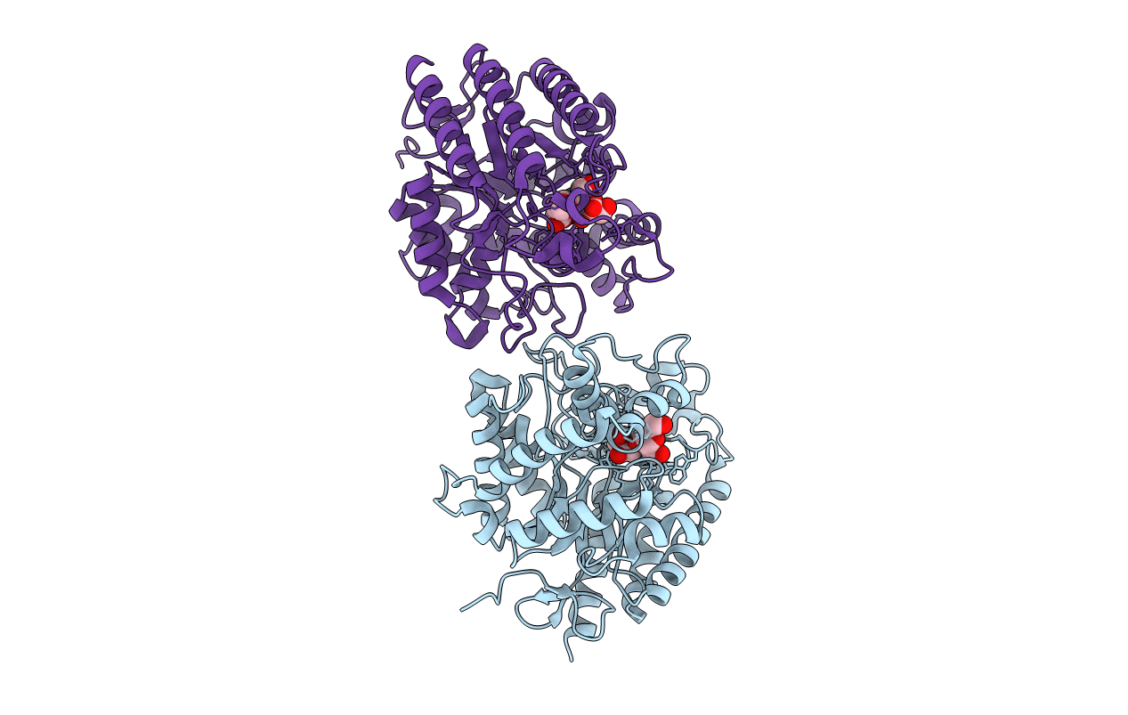4NRR image